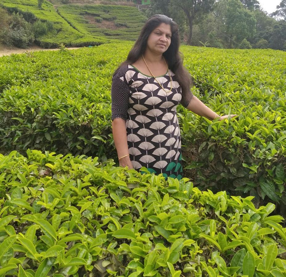 Blackcherry Munnar Bed & Breakfast エクステリア 写真