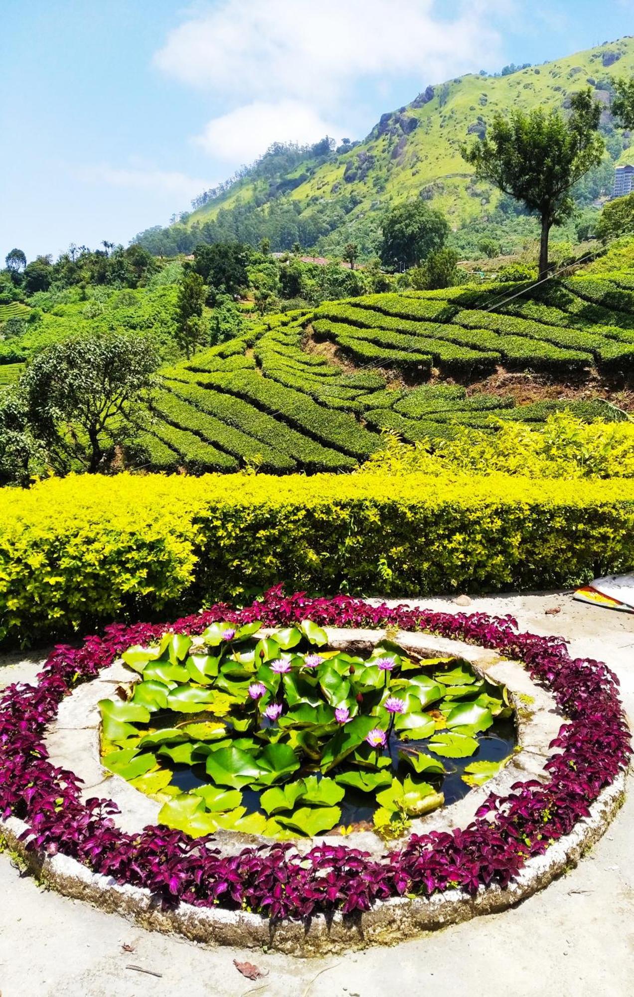 Blackcherry Munnar Bed & Breakfast エクステリア 写真